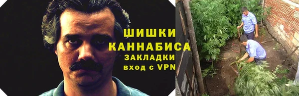 винт Верея