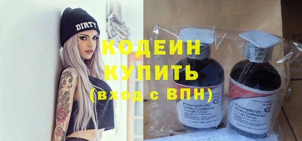 дурь Бородино