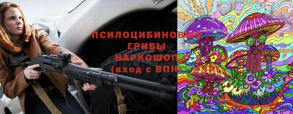 МДПВ Верхний Тагил