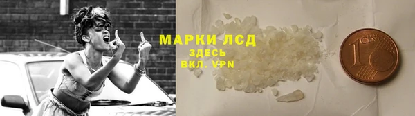 прущие грибы Бронницы