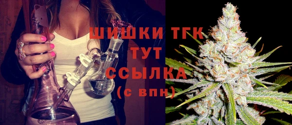 винт Верея