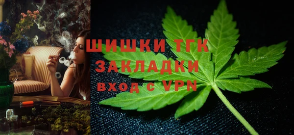 винт Верея