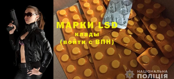 винт Верея