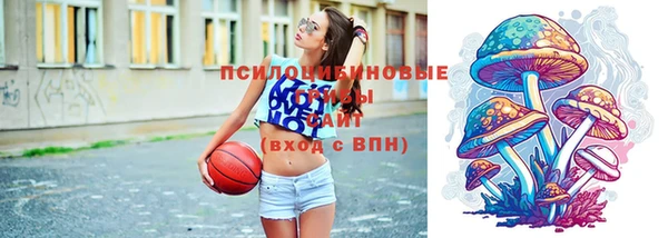 МДПВ Верхний Тагил