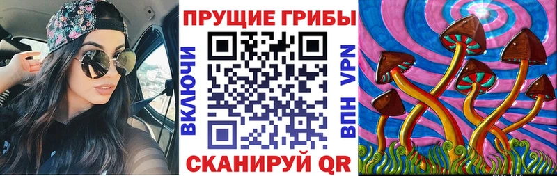 Псилоцибиновые грибы GOLDEN TEACHER нарко площадка телеграм Ленинградская