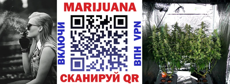 наркота  Ленинградская  Бошки Шишки SATIVA & INDICA 